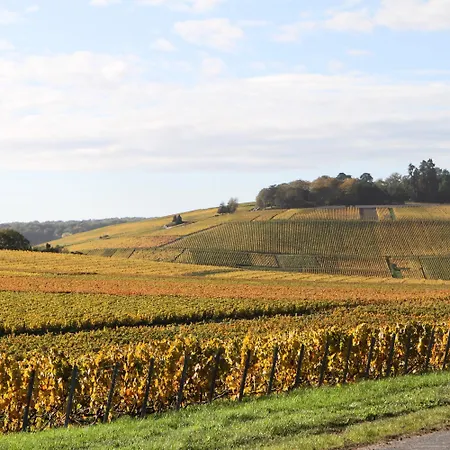 46 Paul Chandon Tatil Evi