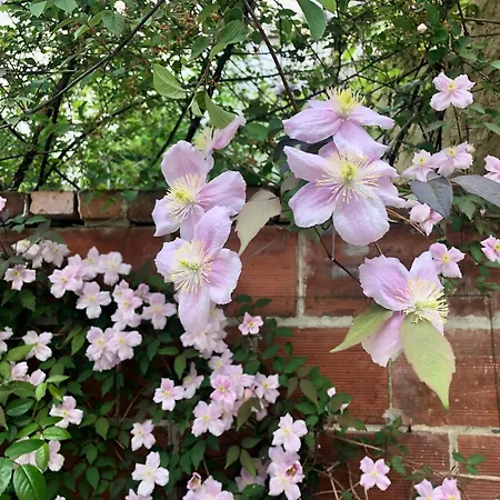 Σπίτι διακοπών Maison Et Jardin A Centre *