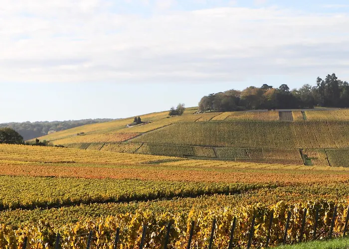 46 Paul Chandon Vakantiehuis